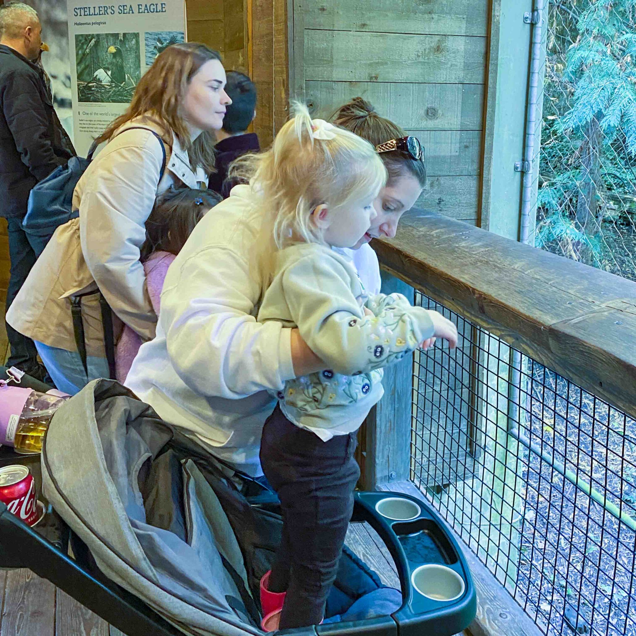 The mother holds her daughter up as she stands on her stroller to see the animals at the zoo.