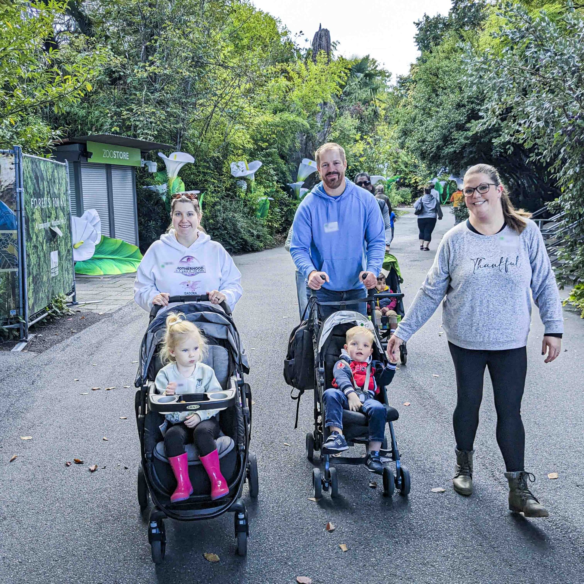 Two families walk down a pathway with strollers at the zoo